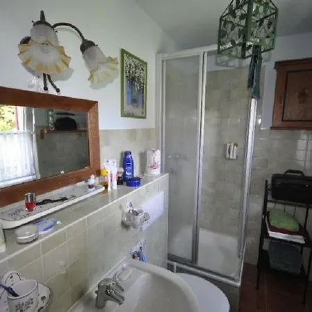 Red-throated Diver Modern Retreat