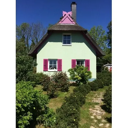 Red-throated Diver Modern Retreat Putgarten