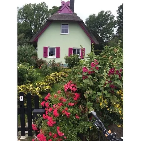 Holiday home Red-throated Diver Modern Retreat *