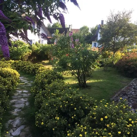 Holiday home Red-throated Diver Modern Retreat Putgarten