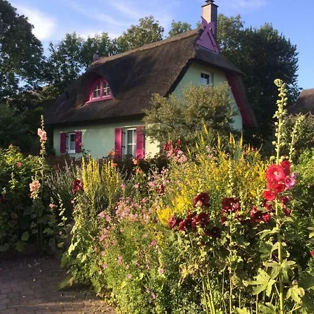 Red-throated Diver Modern Retreat Holiday home *